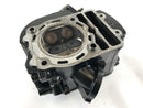 Kawasaki VN 900 Classic [2010] - Cylinder head-6