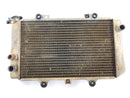 Yamaha Grizzly 660 AM03W [2003] - Radiator Water Cooler-3