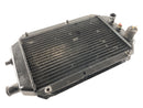 Kawasaki VN 800 Classic [2005] - Water Cooler Radiator-3