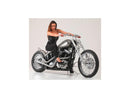 Harley Davidson Sportster [2014-2020]-Nitro brake disc stainless steel polished 11.8 "-4