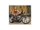 Harley Davidson Touring [2008-2024]-Eliminator-7 brake disc behind-4
