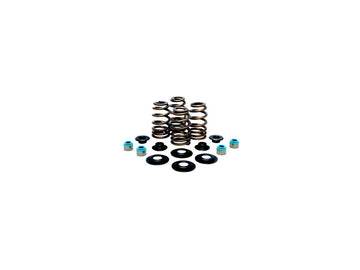 Harley Davidson FX Model [1985-1994]-high-performance bee basket valve spring kit