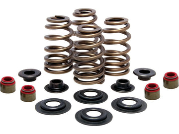 Harley Davidson Sportster [2004-2020]-high-performance bee basket valve spring kit