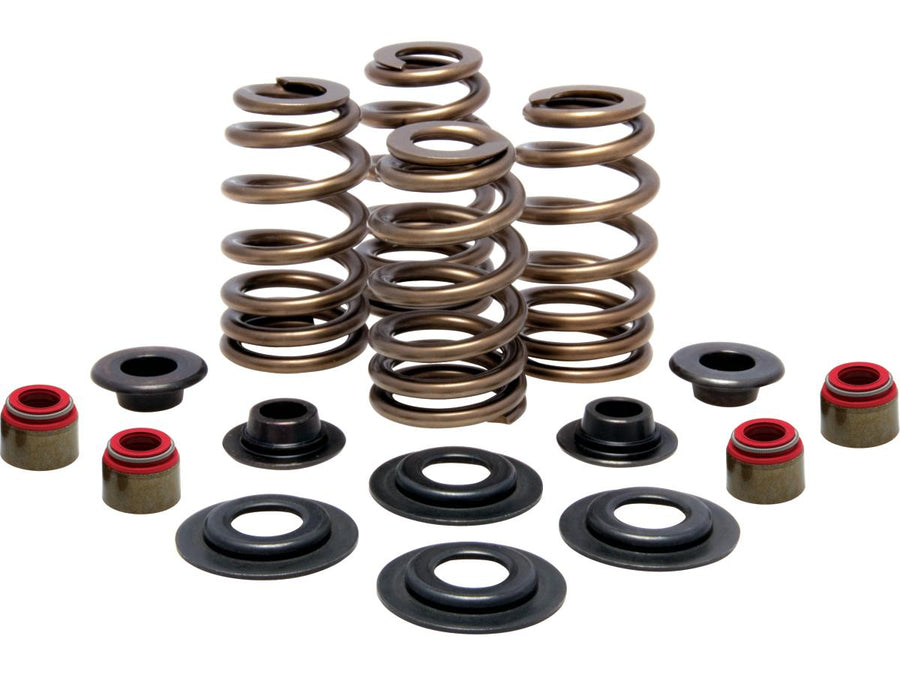 Harley Davidson Sportster [2004-2020]-high-performance bee basket valve spring kit
