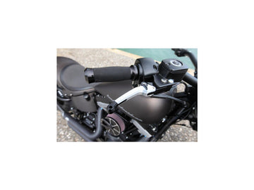 Harley Davidson Sportster [2014-2020]- Good Guys adjustable braking and - 0