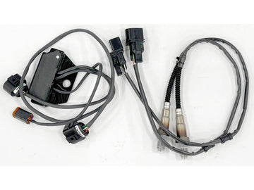 Harley Davidson - Auto Tune Module only for CCI 645550 - 0