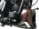 Harley Davidson FXSBSE [2013-2014]-Racing frame cover for Softail models-4