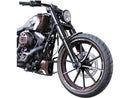 Harley Davidson FXSBSE [2013-2014]-Racing frame cover for Softail models-5