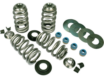 Harley Davidson Sportster [1986-2003]-Econo Bee basket valve spring Set