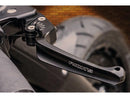 Harley Davidson Sportster [2004-2013]- Classic adjustable braking and-3