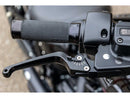 Harley Davidson Sportster [2004-2013]- Classic adjustable braking and-4