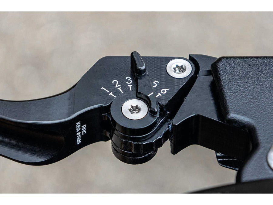 Harley Davidson Sportster [2004-2013]- Classic adjustable braking and