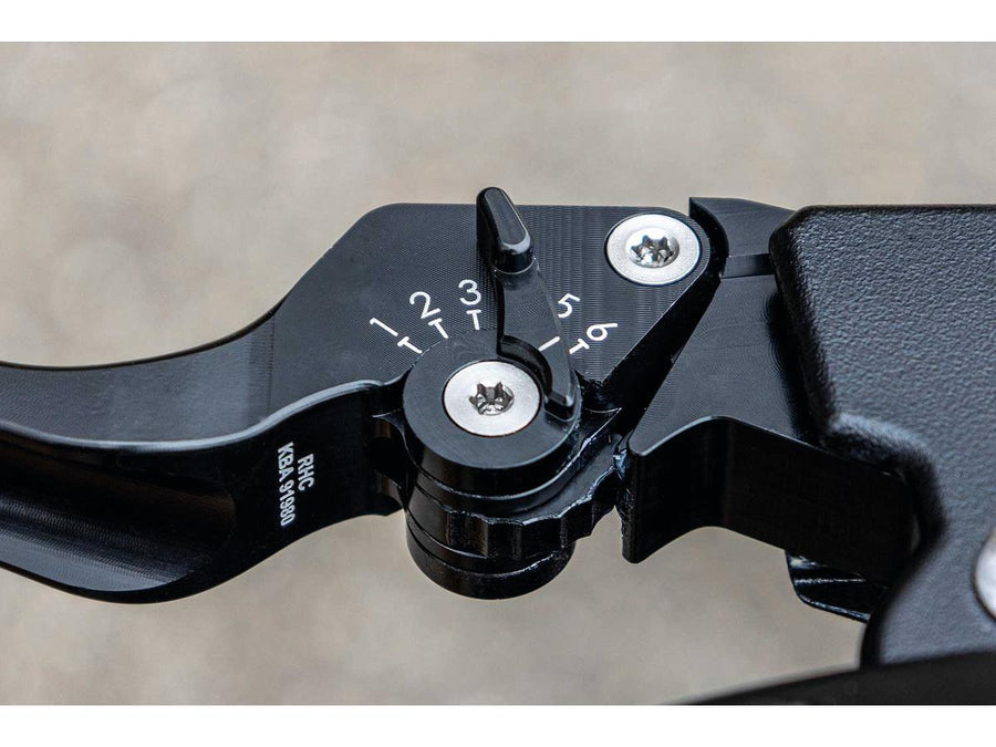 Harley Davidson Sportster [2004-2013]- Classic adjustable braking and