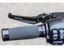 Harley Davidson Sportster [2004-2013]- Classic adjustable braking and-14