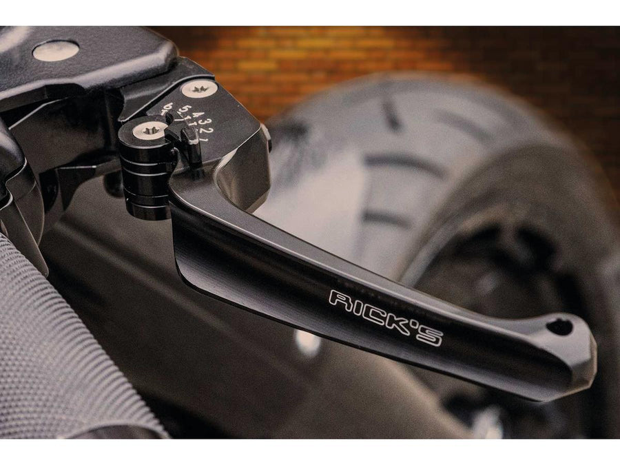 Harley Davidson Softail [2015-2017]- Classic adjustable braking and