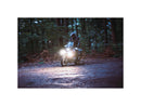 Harley Davidson- Dayron Tagfahr- und Positionslicht Classic (warm white)-5