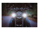 Harley Davidson- Dayron I turn signal with daytime driving and position light innovation-13