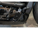 Harley Davidson Sporters S RH1250S [2021-2024]-Heat exchanger cover SP-S Design-7