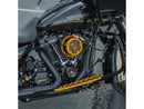 Harley Davidson Softail [2018-2024]-Method ™ Clear Series Air Filter Gold-11