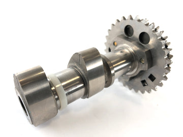 Aprilia RSV 1000 RR Factory [2009] - Camshaft exhaust camshaft cylinder rear - 0