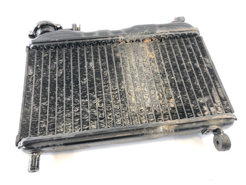 Yamaha TZR 125 4FL [1997] - Radiator Water Cooler