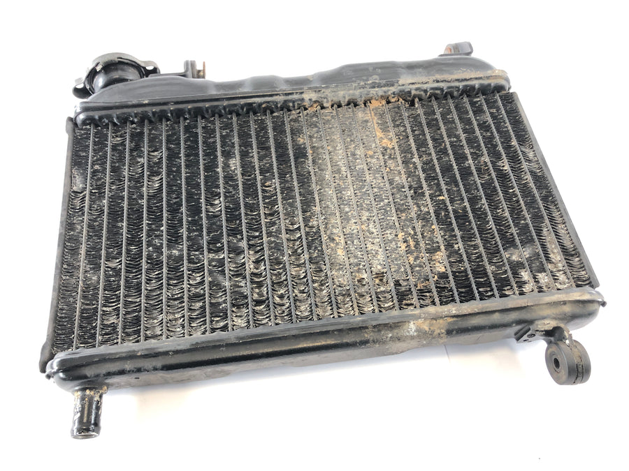 Yamaha TZR 125 4FL [1997] - Radiator Water Cooler