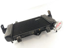 Yamaha YZF 125 RE06 [2011] - Radiator Water Cooler-2