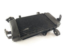 Yamaha YZF 125 RE06 [2011] - Radiator Water Cooler-4
