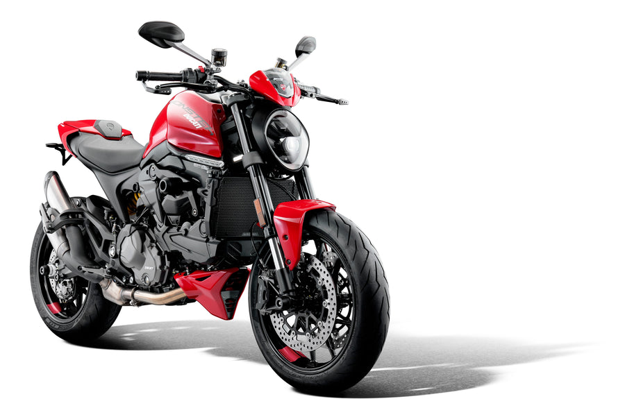 Ducati Monster 950 / Monster 950 Plus [ab 2021] - Motorschutz