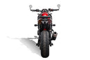 Triumph Trident 660 [2026+] - Kennzeichenhalter mit klarem LED-Rücklicht