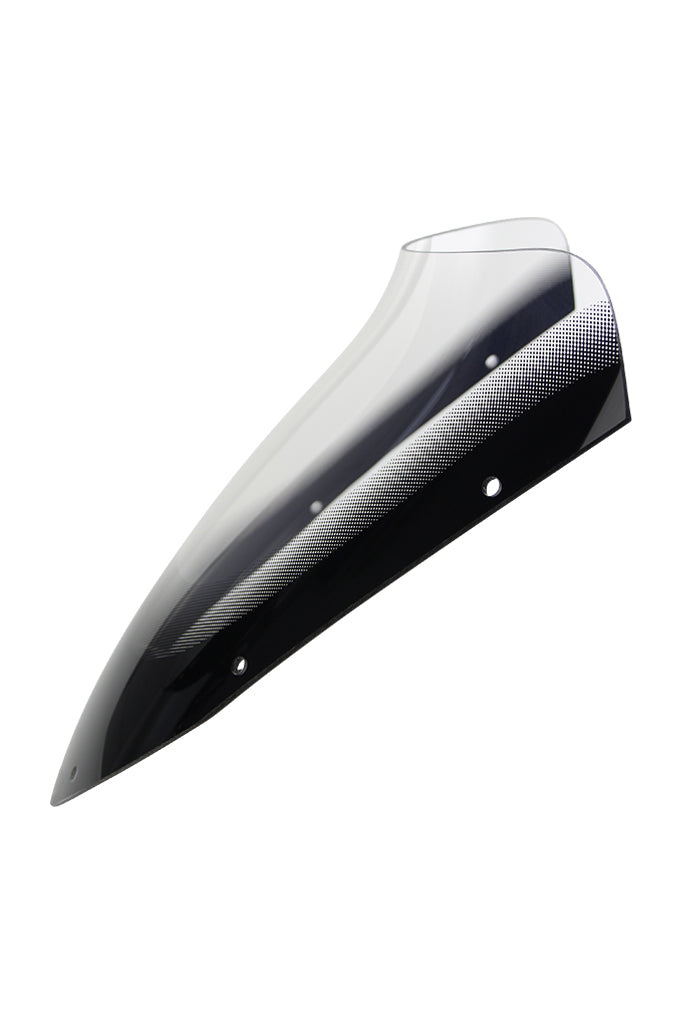 Yamaha FZS 600 FAZER [1998-2001]-Spoiler disc "SN"
