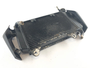 KTM Duke 125 [2011] - Radiator Water Cooler - 0