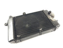 Aprilia RSV 1000 Tuono RP [2005] - Water Cooler Radiator-2