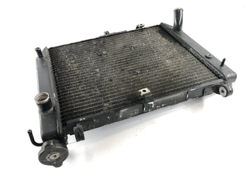 Yamaha YZF R1 RN04 [2000] - Water Cooler Radiator - 0