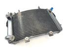KTM Duke 690 A3 [2012] - Radiator Water Cooler-5