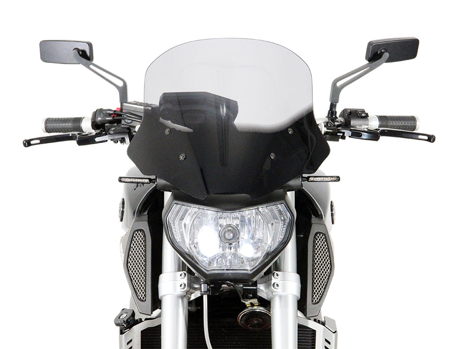 Yamaha MT-09 / FZ-09 [2014-2016]-touring disc "NTM"