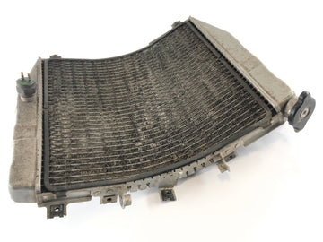 Kawasaki ZXR 400 ZX400L [1993] - Radiator Water Cooler - 0