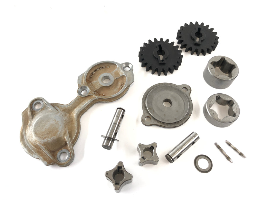 KTM Duke 690 A3 [2012] - Oil pump