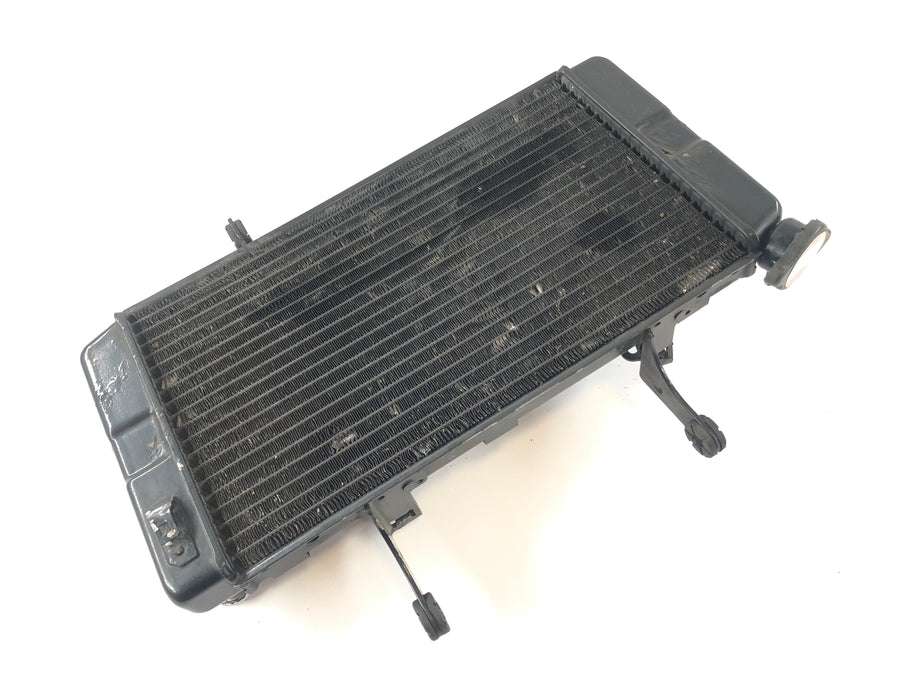 Suzuki DL 1000 V-Strom [2006] - Radiator Water Cooler