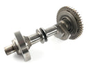 Yamaha XT 1200 Z Super Tenere DP01 [2012] - Balance shaft-1