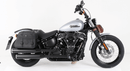 Harley-Davidson Softail Standard [2020-2025]-C-Bow side carrier-5