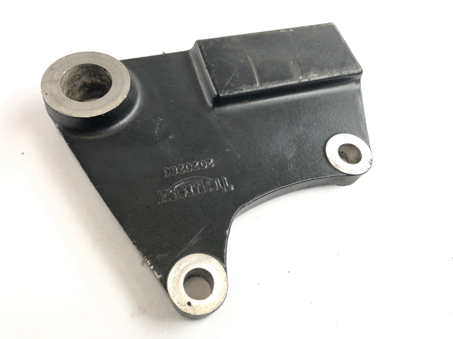 Triumph Sprint 955i RS T695 [2001] - Brake anchor plate
