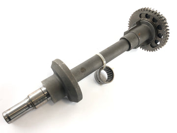 Triumph Daytona 955i T595 [2001] - balance shaft - 0