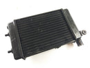 Aprilia RSV 1000 Tuono RP [2005] - Water Cooler Radiator-1