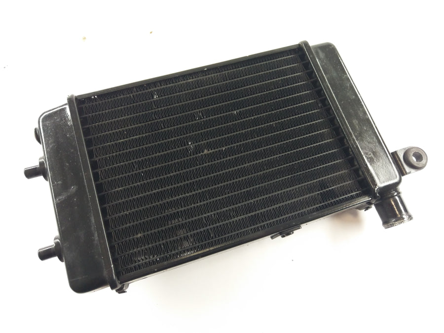 Aprilia RSV 1000 Tuono RP [2005] - Water Cooler Radiator