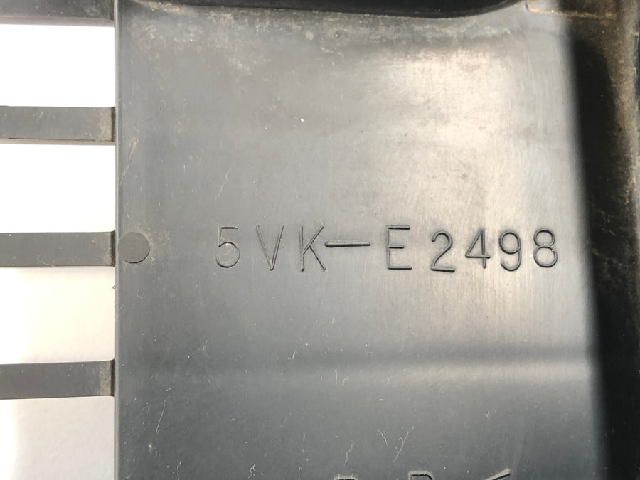 Yamaha XT 660 DM01 [2005] - Radiator cover
