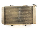 Yamaha Grizzly 660 AM03W [2003] - Radiator Water Cooler-1