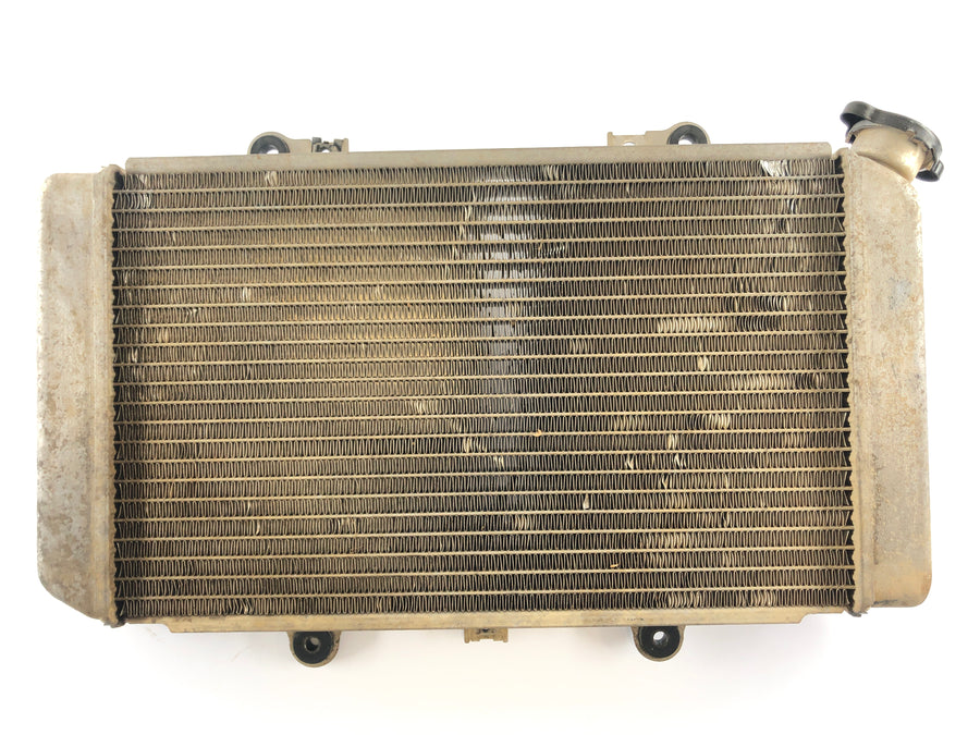 Yamaha Grizzly 660 AM03W [2003] - Radiator Water Cooler
