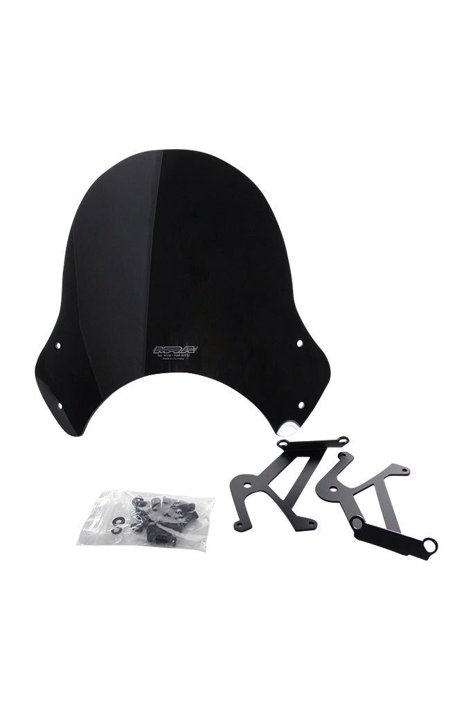 Kawasaki Z 900 RS [2018-]-touring disc "NT"