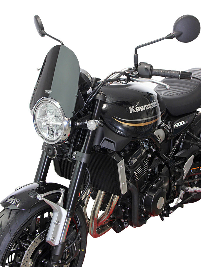Kawasaki Z 900 RS [2018-]-touring disc "NT"
